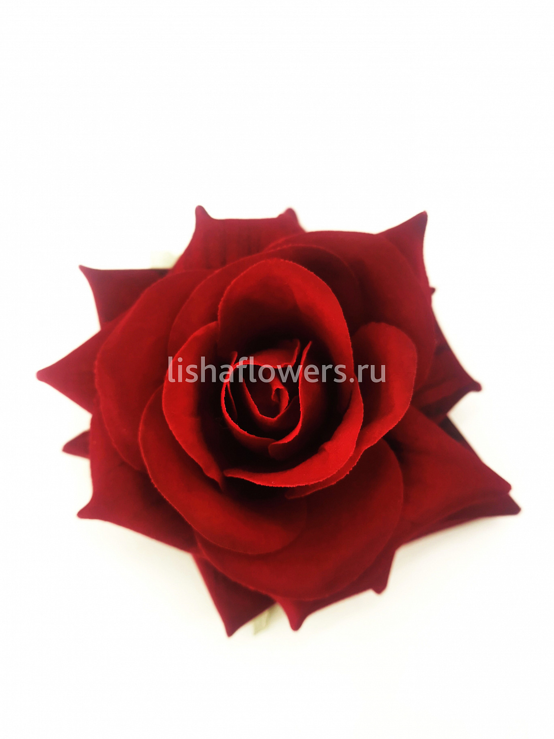 Роза бархатная 11см.Арт.22H8